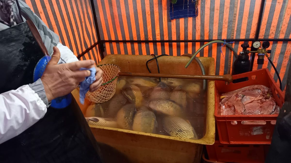 Prodejce kaprů před Vánocemi porcoval už leklé ryby, čeká ho tučná pokuta
